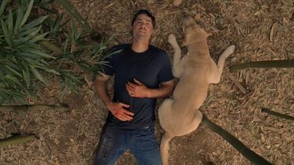 Jack lies with a dog in Lost