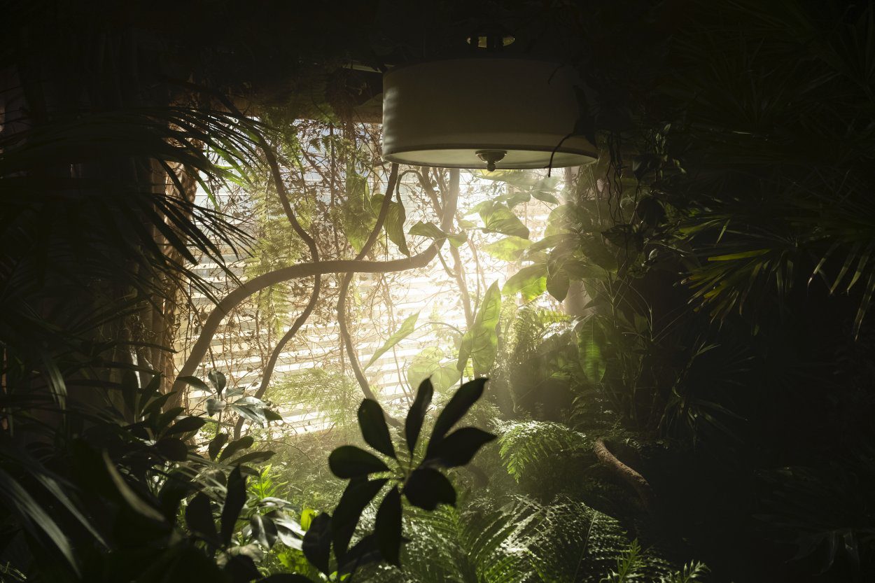 Room 104 filled with lush foliage